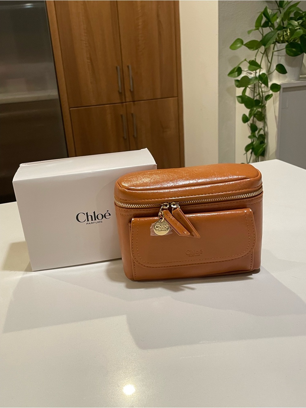 C h l o e Luxury Leather Cosmetic Case with Front Pocket and Gold Hardware